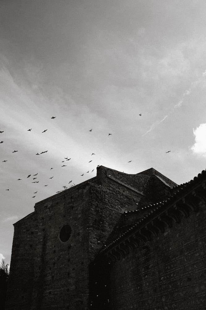 La iglesia de Nuestra Señora de la Granada, en Niebla, con una bandada de pájaros sobre la torre, en blanco y negro · Cupido debe morir
