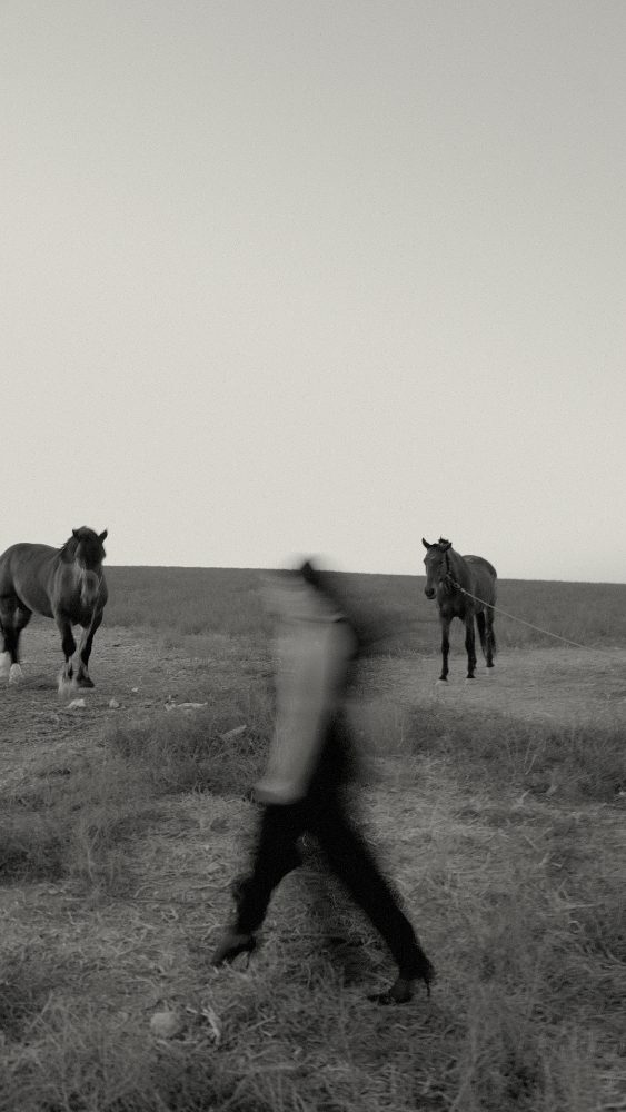 Black and white: a blurred man crossing between two horses · Gearmedia