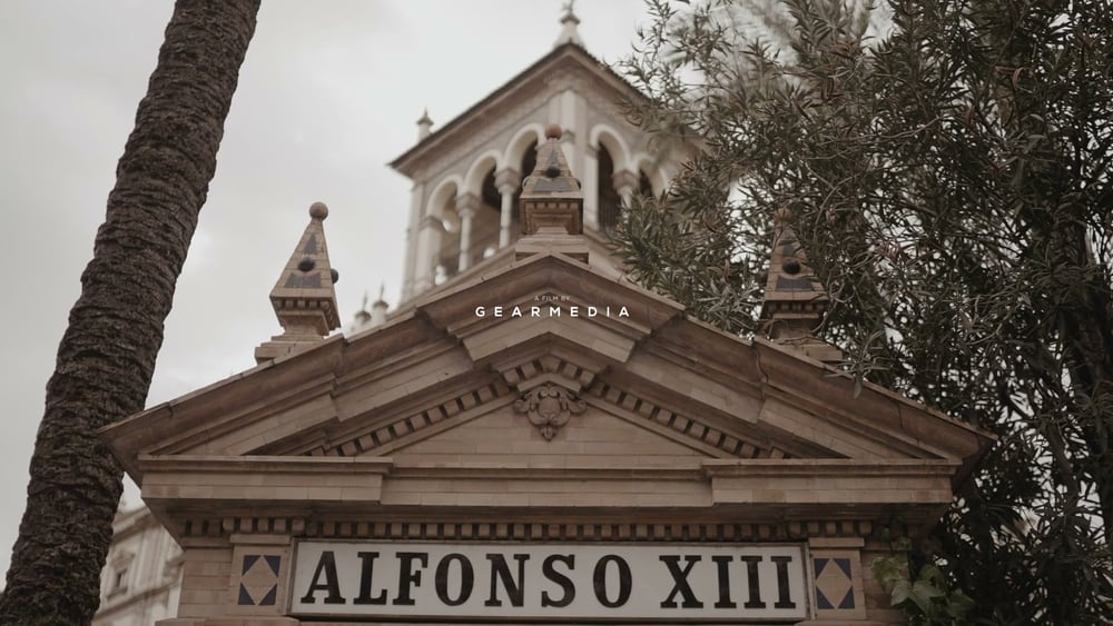 The pediment and sign of the Hotel Alfonso XIII in Seville, with a palm trunk and olive branches in the foreground