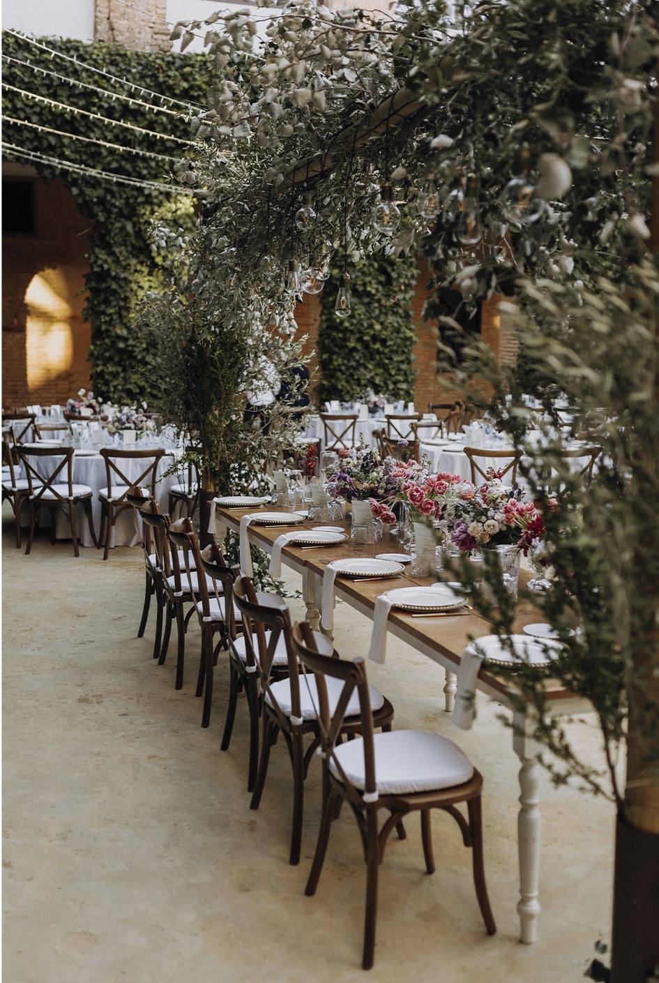 Mesa de boda larga entre olivos y luces · Gonzalo Lagares